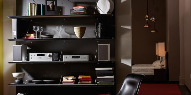 Rotel Speaker and Amplifier