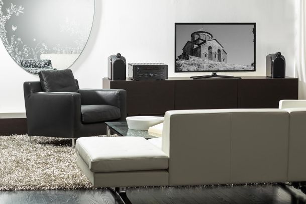 Rotel Speaker and Amplifier