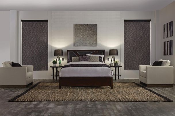 Lutron Lighting and Shades