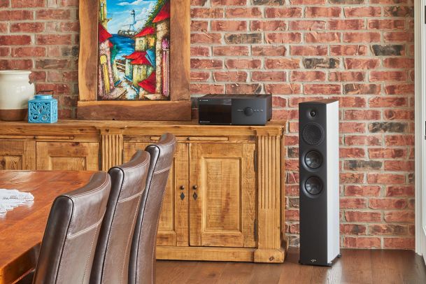 Anthem Speakers and Amplifier